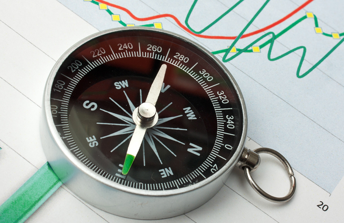 The Financial Compass of Business