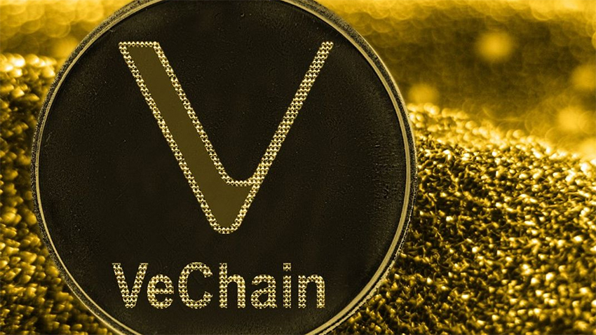 VeChain in the Crypto Market